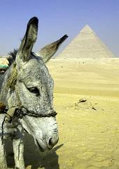 Giza Pyramids IMGP4538